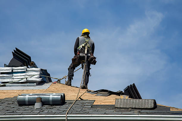 Professional Roof Installation technician working in Knowlesville, NY
